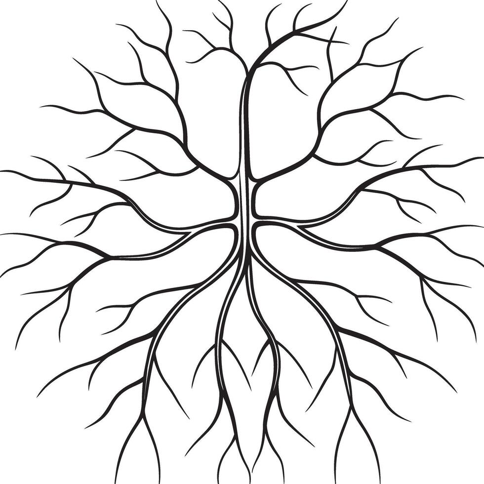 a tree with roots on a white background vector