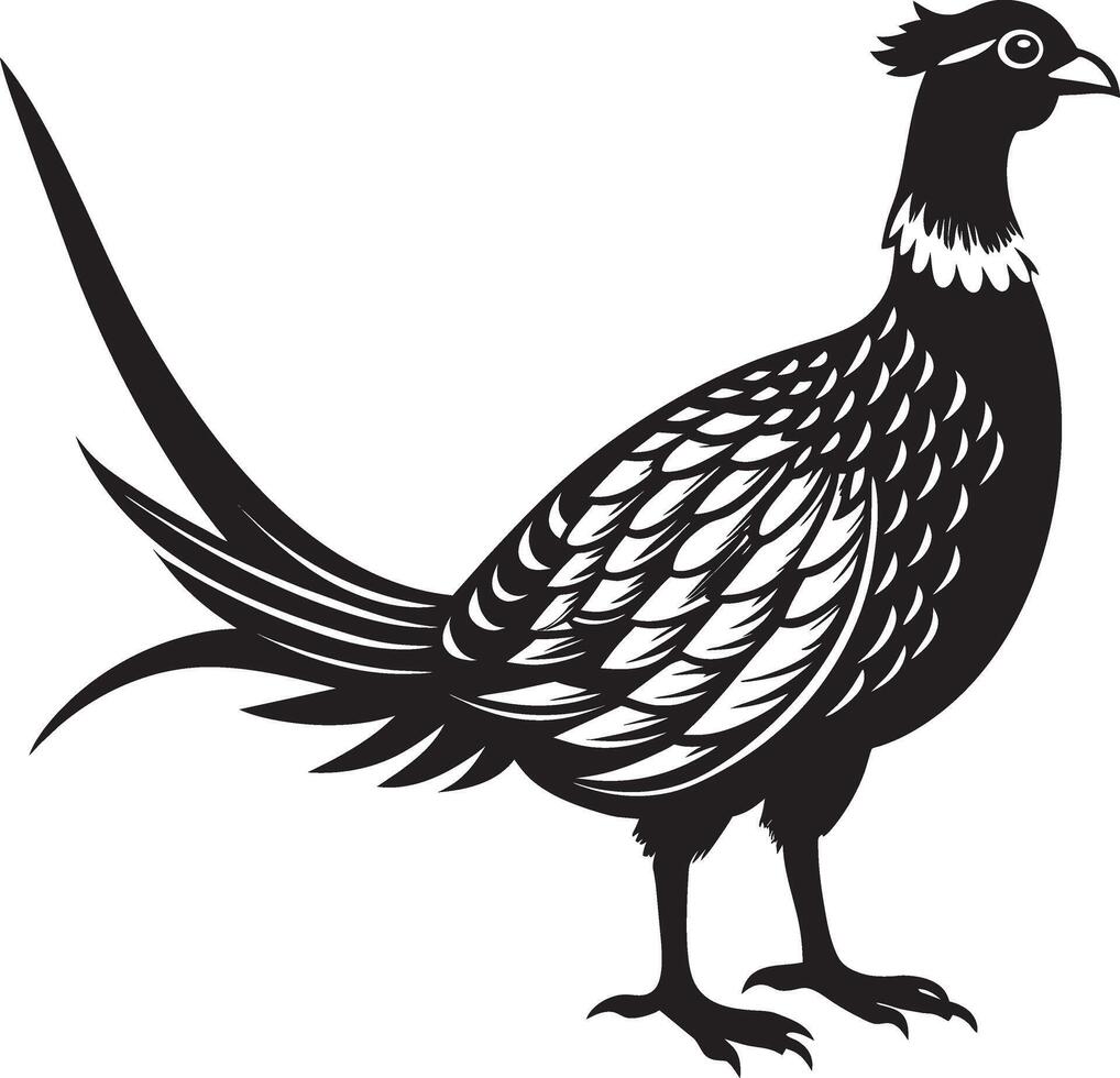 a black and white pheasant on a white background vector