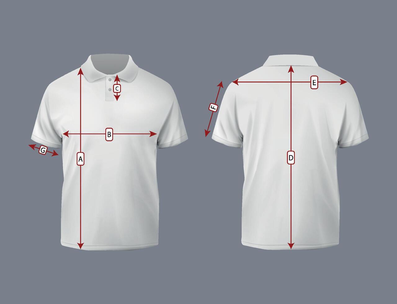 Measures polo shirt. Size Chart Sketch of front and rear views. vector