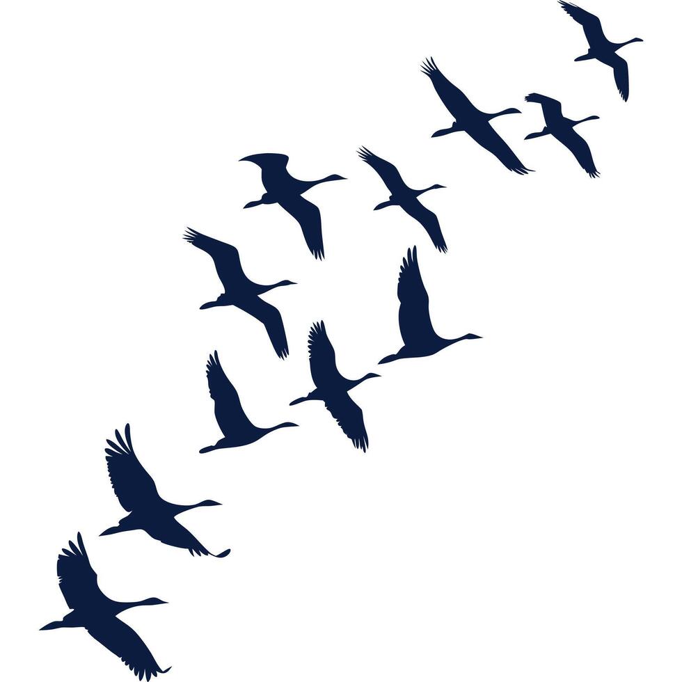A flock of birds flying in the sky vector