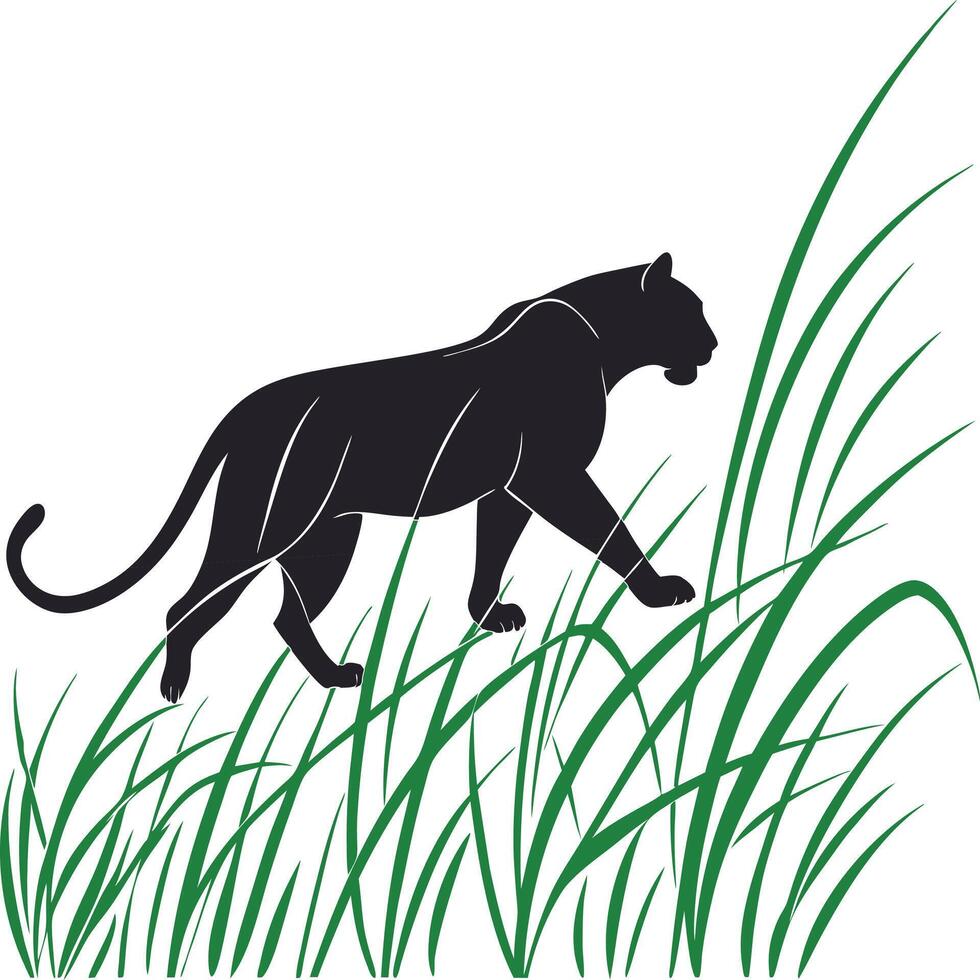 A black panther walking through tall grass vector