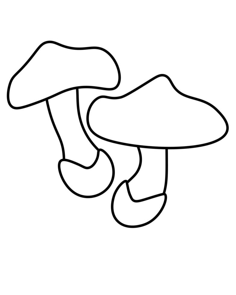 Honey mushroom popular edible mushroom outline, element growing in forest for coloring page vector