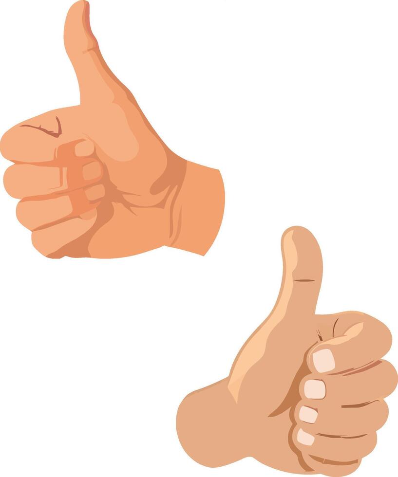 Two thumbs up hand gesture vector