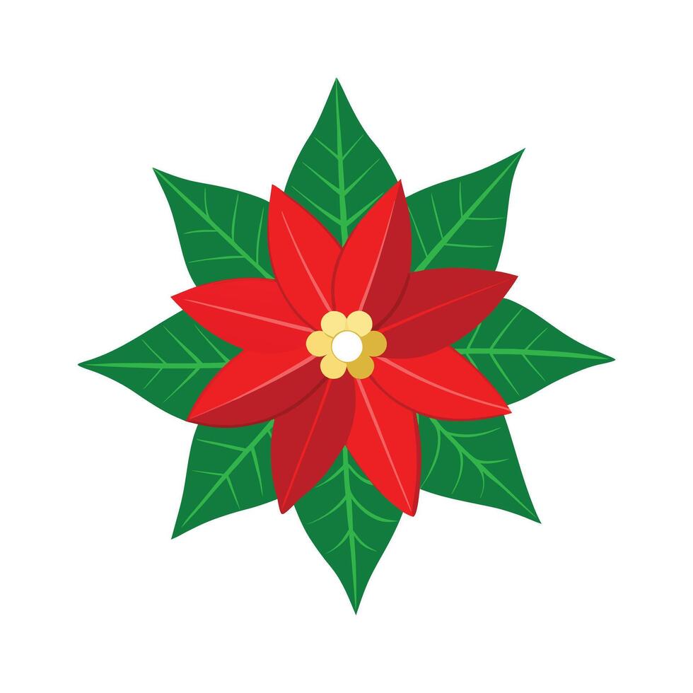 Holly Leaves with Red Berries Illustration - Christmas and Winter Festive Decoration vector
