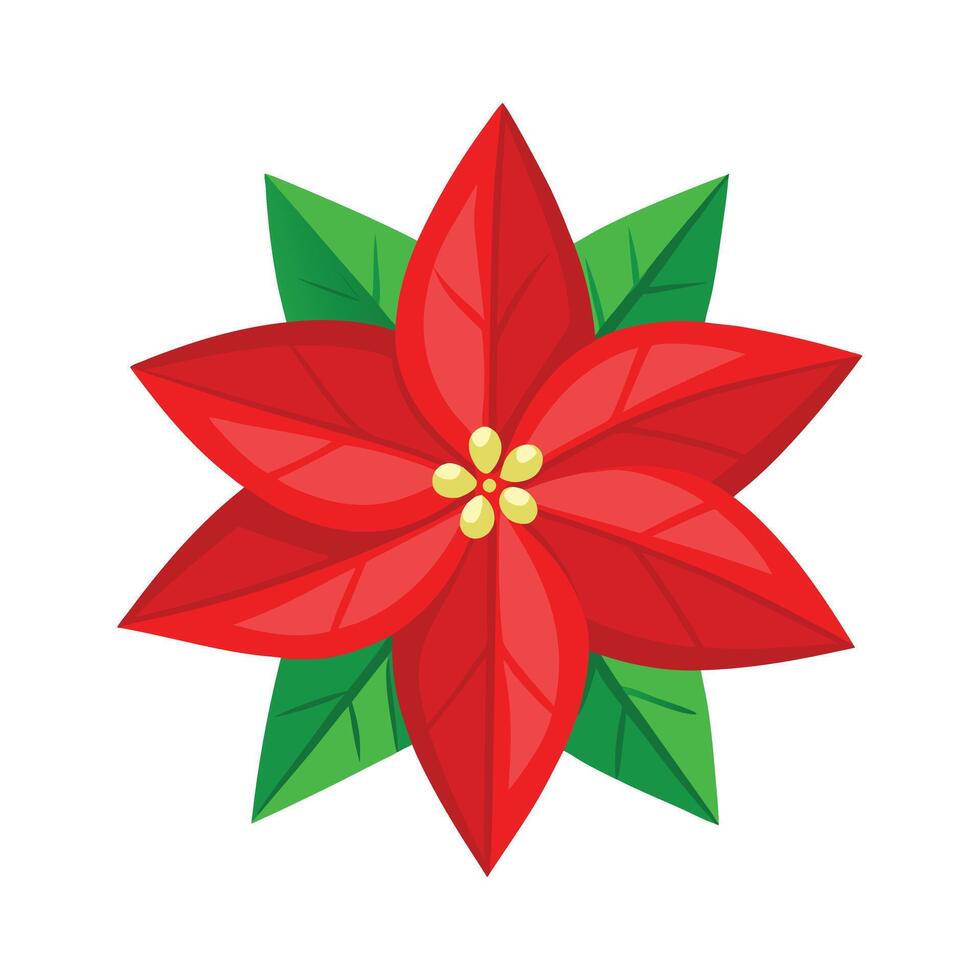 Christmas Holly Leaves with Red Berries Illustration - Festive Winter Decoration vector