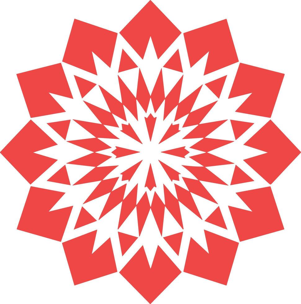Decorative Mandalas A Coloring Collection vector