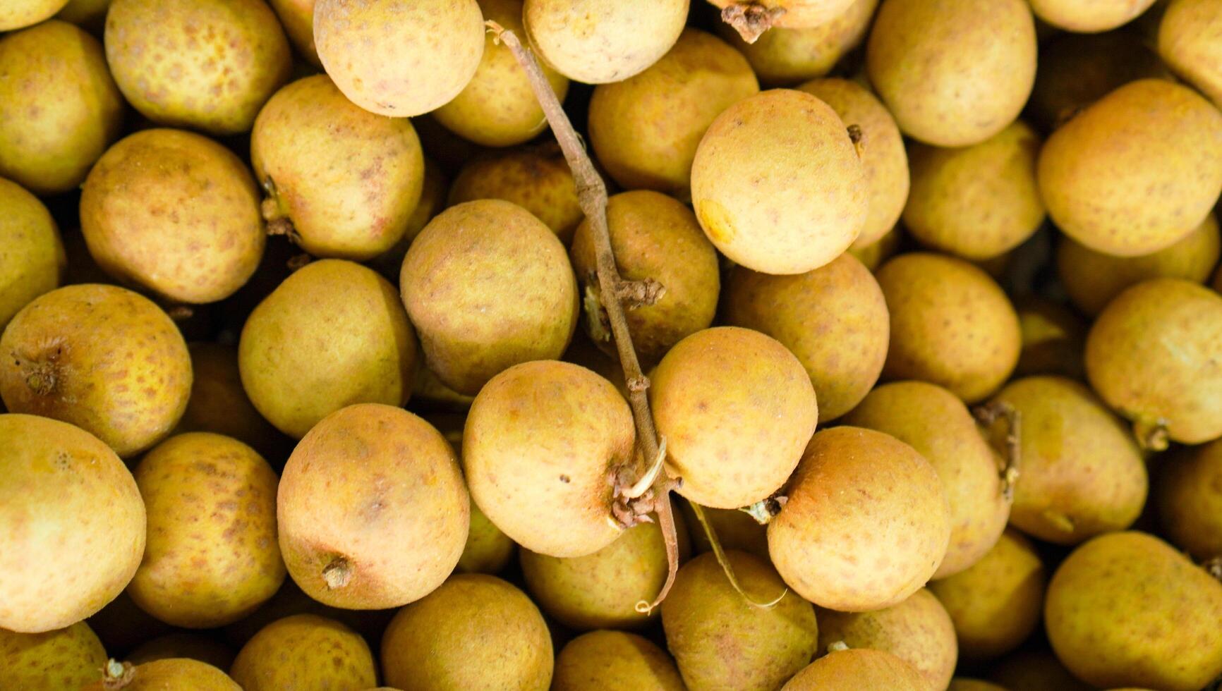 Ripe and sweet tropical Longan fruit seen from above being sold at the market Free Photo