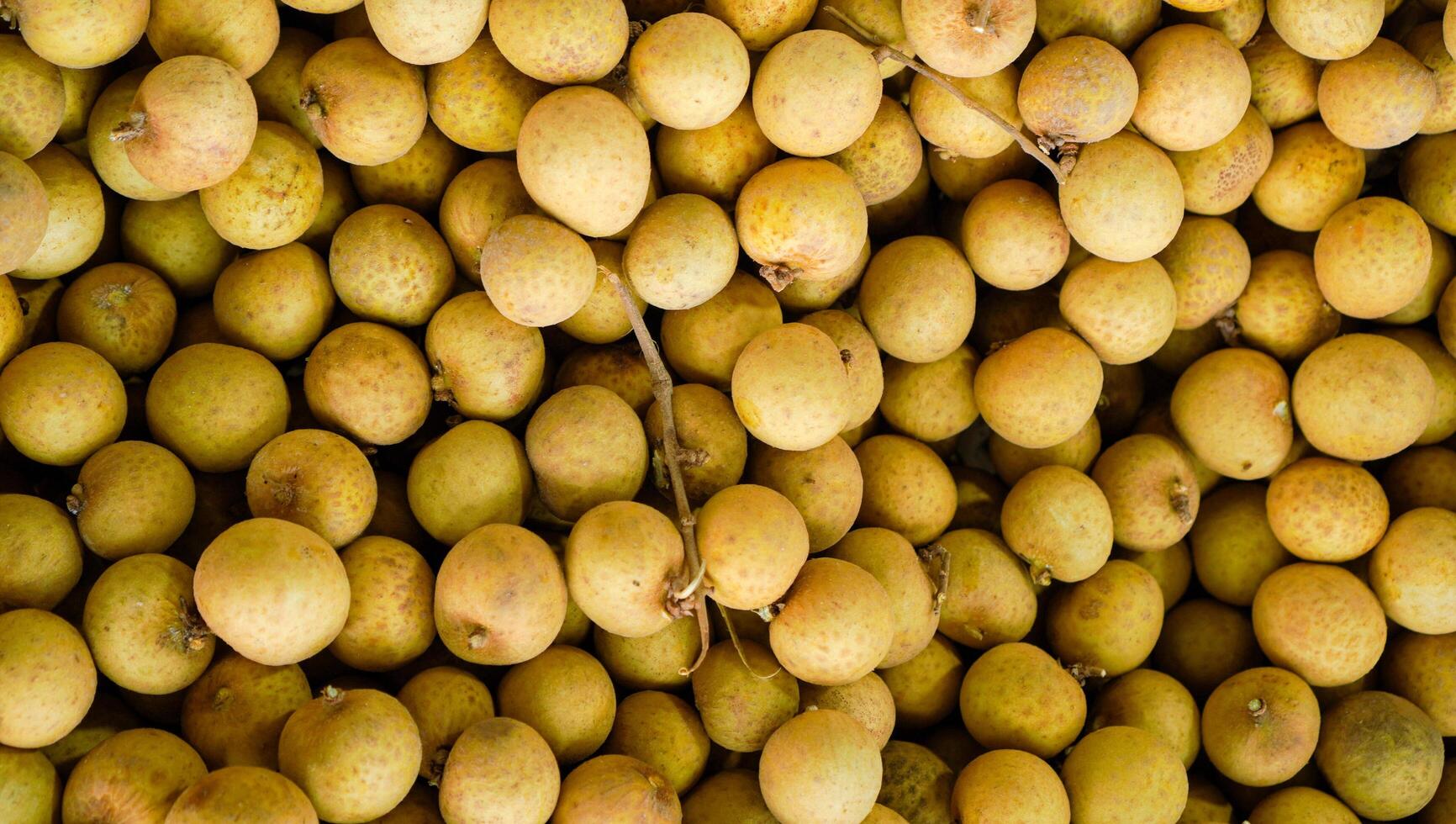 Close-up of fresh longan fruit at the market Free Photo