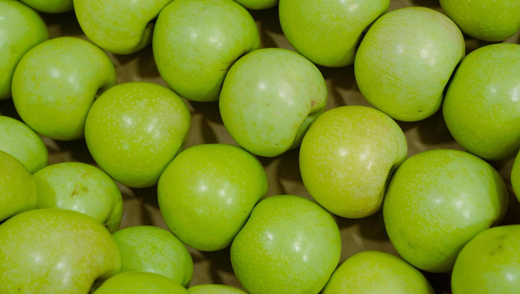 Fresh green apple fruit image. Many delicious apples are seen from above Free Photo