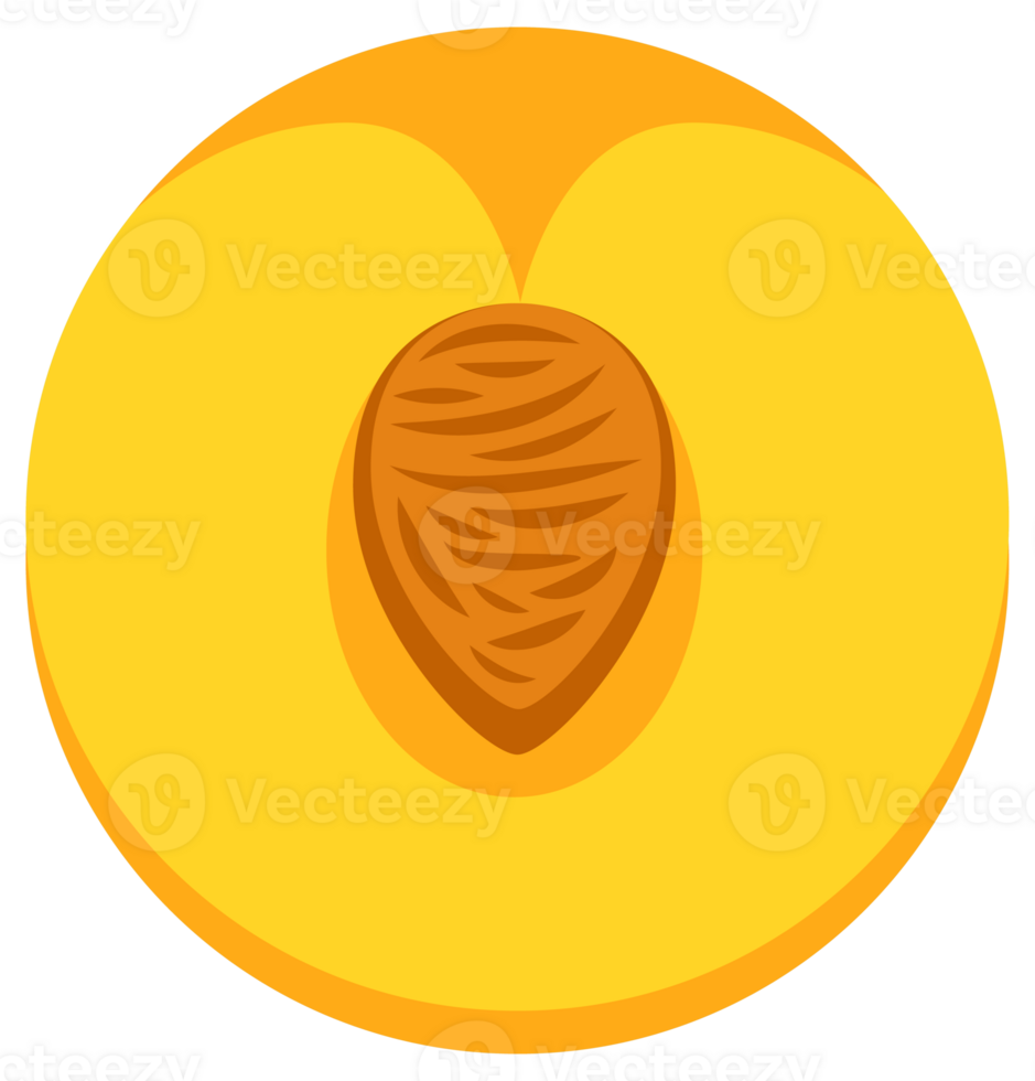 Collection of peach slices and whole fruits. illustration png