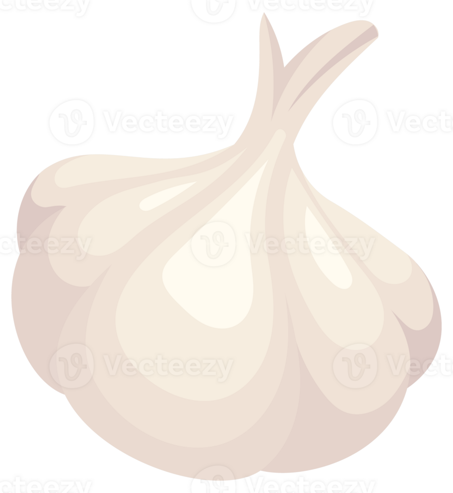 Featuring whole garlic bulbs with green stems, separated cloves, and roots, showcasing the plant's growth stages png