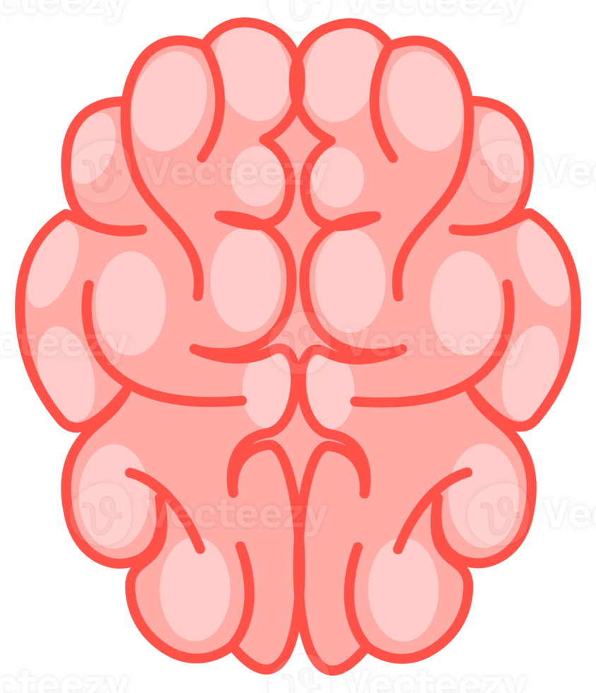 Human brain viewed from the side and top, in soft pink tones, representing the complexity of the human mind png
