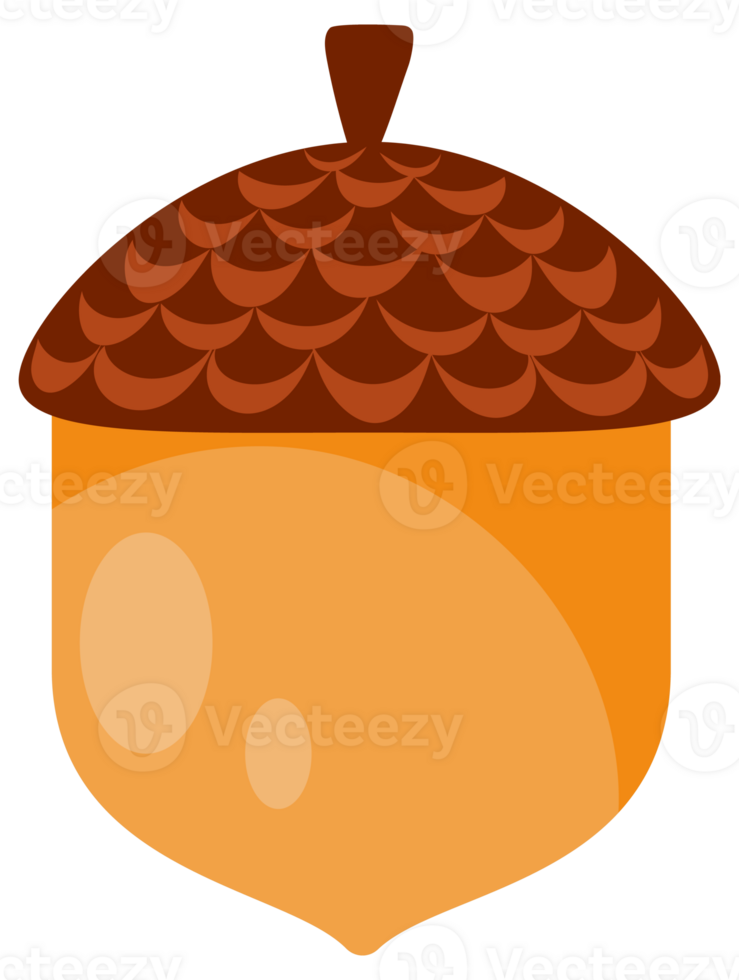 Acorns, cones and pinecones Collection. Showcasing The Beauty Of Autumn. png