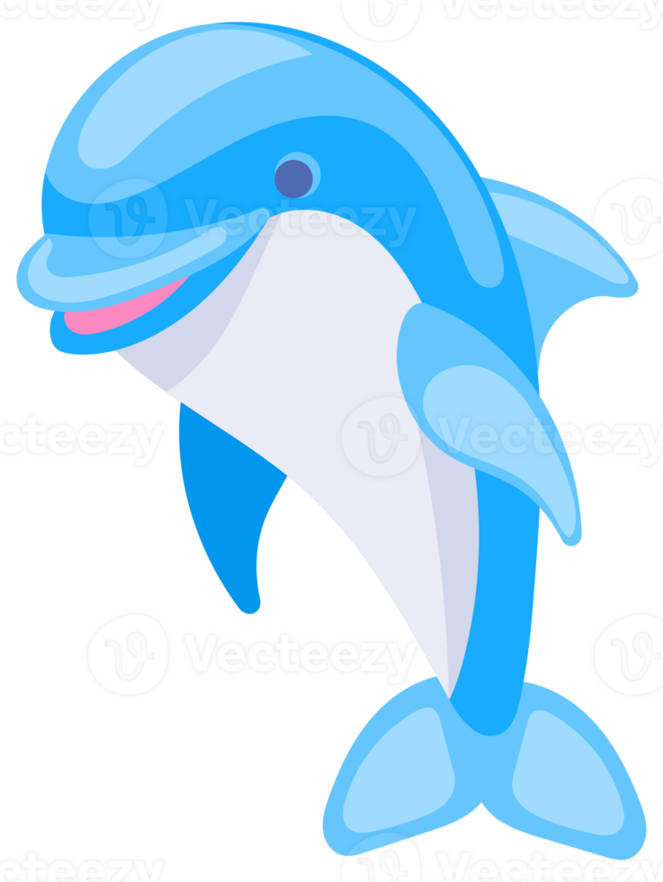 Four cute cartoon dolphins in different poses swimming and jumping on a white background png