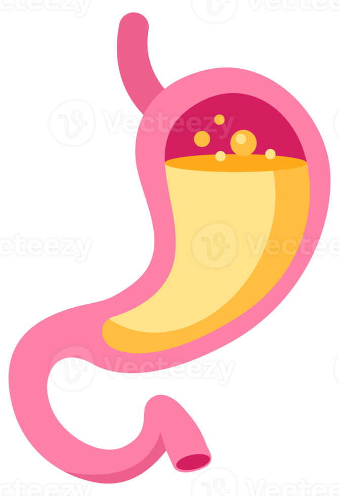 Set of stylized stomach icons in shades of pink, depicting various states of stomach health and conditions png