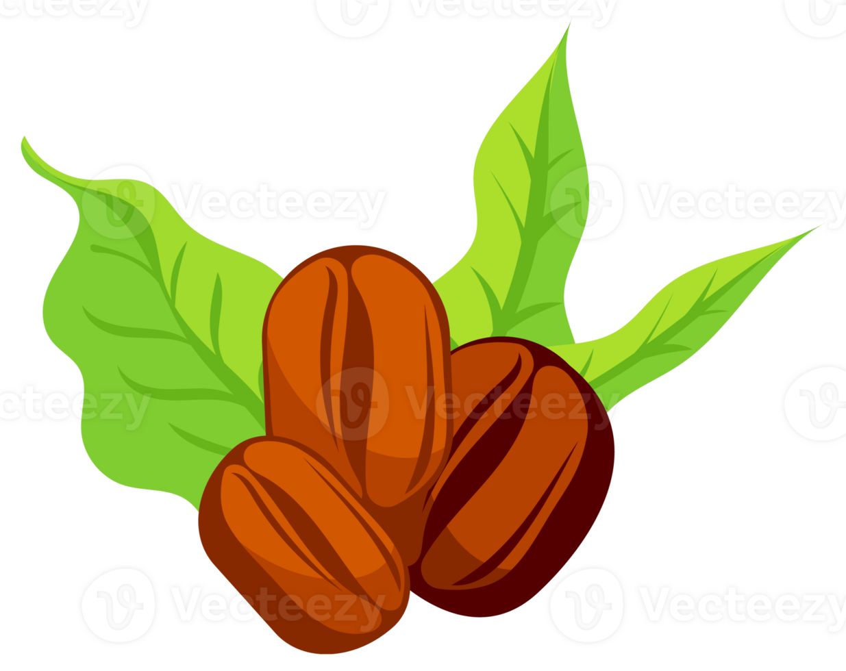 Coffee beans set. Showing various stages of roasting. Various angle for coffee product. png