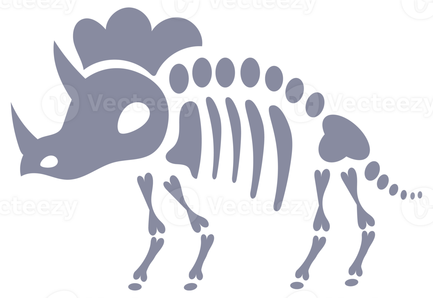 Set of five dinosaur skeletons standing on two legs with bones visible png