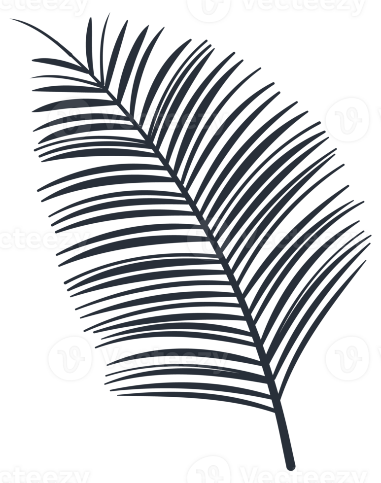 Collection of tropical plant leaf silhouettes, featuring a variety of shapes and sizes, ideal for botanical themes png