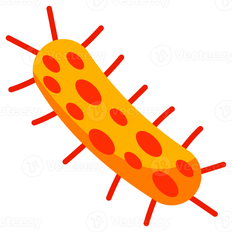 Bacteria and germs set. Types and microorganism. Germs and bacillus. png