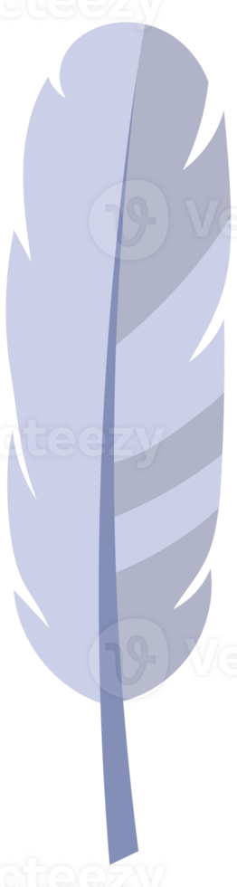 Feather of bird set. Fluffy lightweight quills. Platelet collection. png