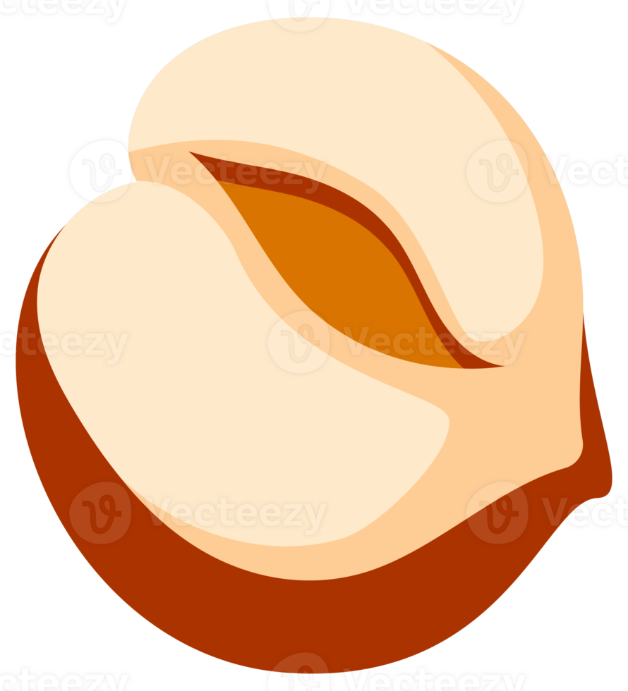 Hazelnuts at various stages of ripeness, showcasing the nut, shell, and kernel, providing a comprehensive visual guide to this popular nut png