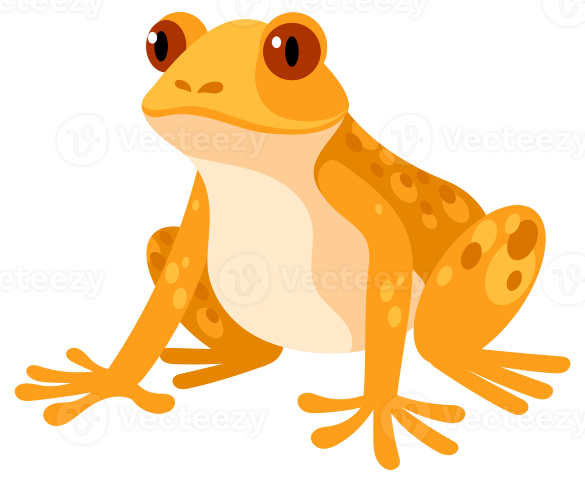 Four colorful frogs are sitting, jumping, and catching flies with their tongues in this cartoon illustration of amphibians png
