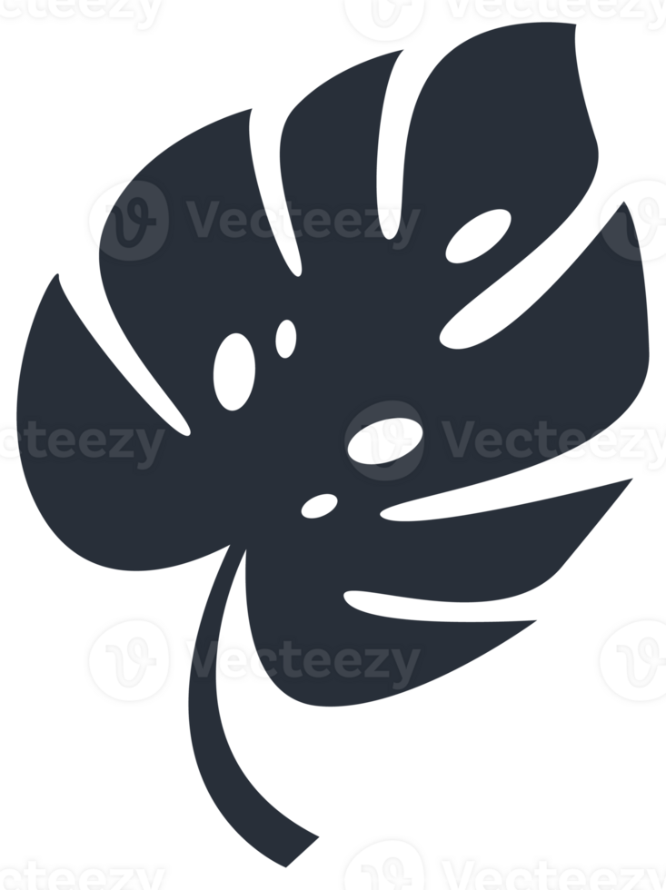 Collection of tropical plant leaf silhouettes, featuring a variety of shapes and sizes, ideal for botanical themes png