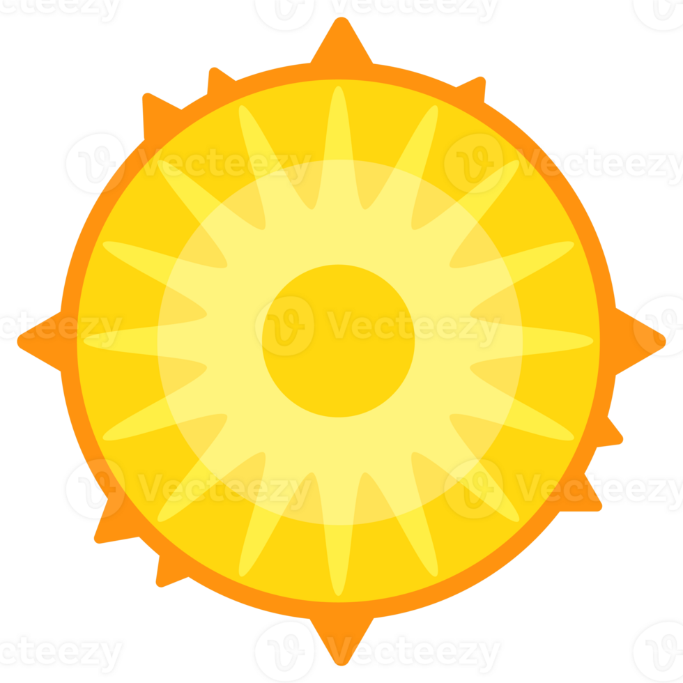 Bright illustration of a whole pineapple beside its cross-section and a round slice png
