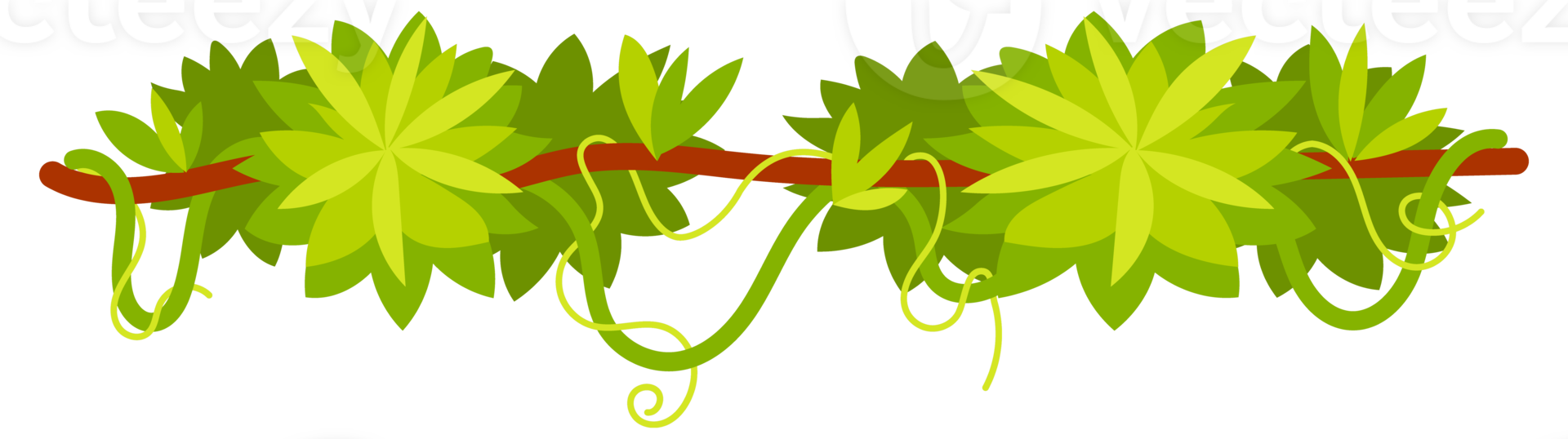 Set of cartoon lianas covered with green leaves, hanging on branches, jungle design elements on white background png