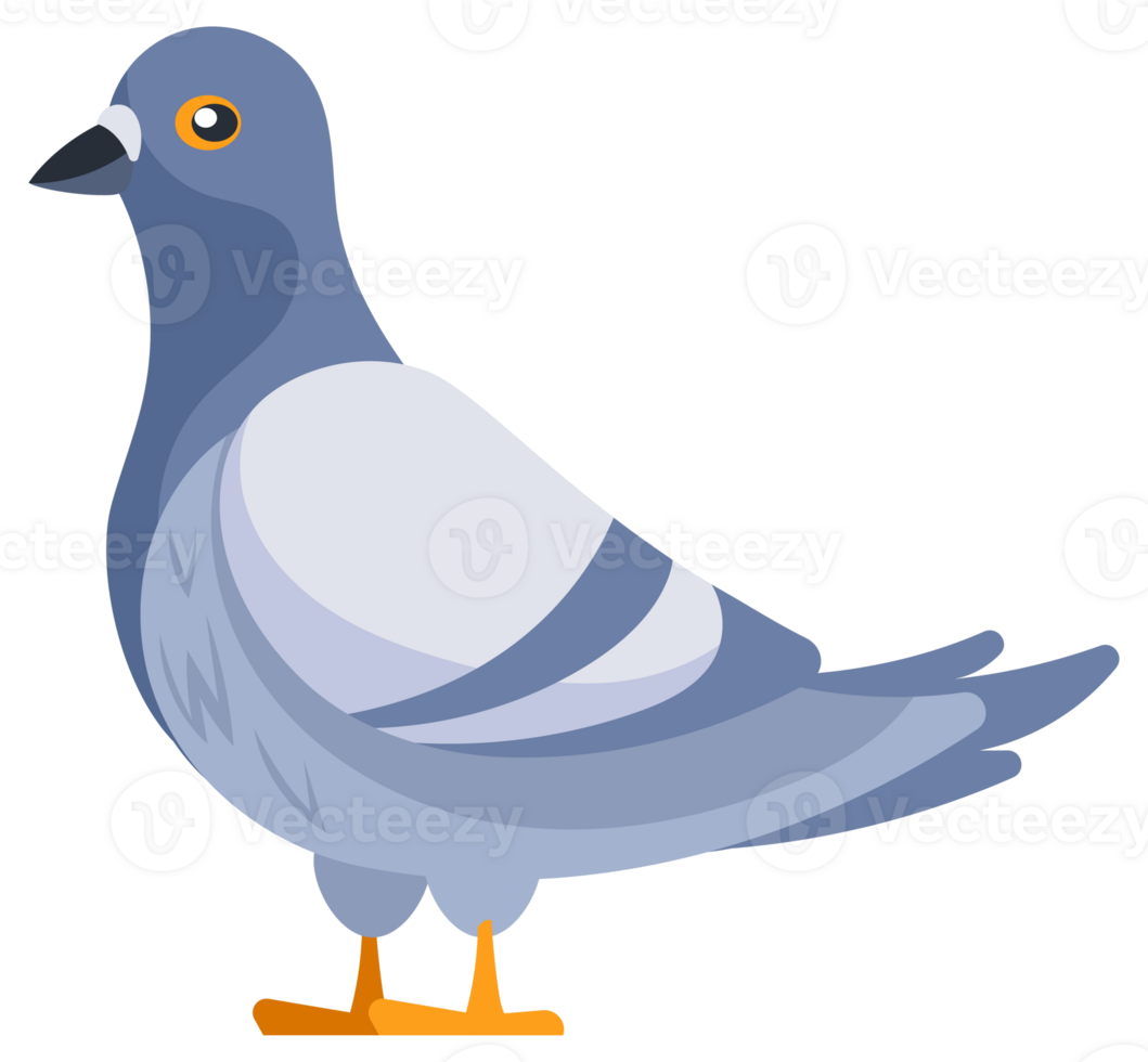 Set of pigeons standing and flying with spread wings png