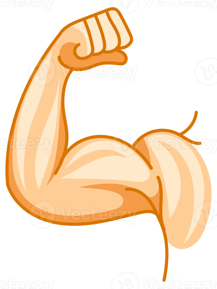 Set of strong arms showing biceps muscle, flexing powerful forearm, in cartoon, silhouette and line art style png