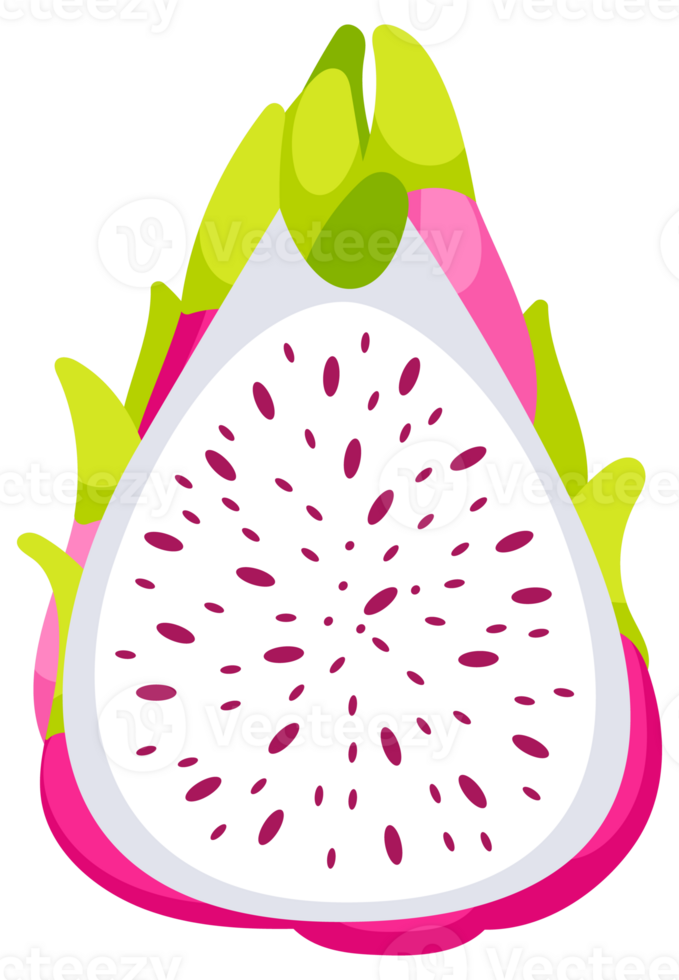 Collection of dragon fruit, or pitahaya. Summer tropical fruit. Vegetarian food. png