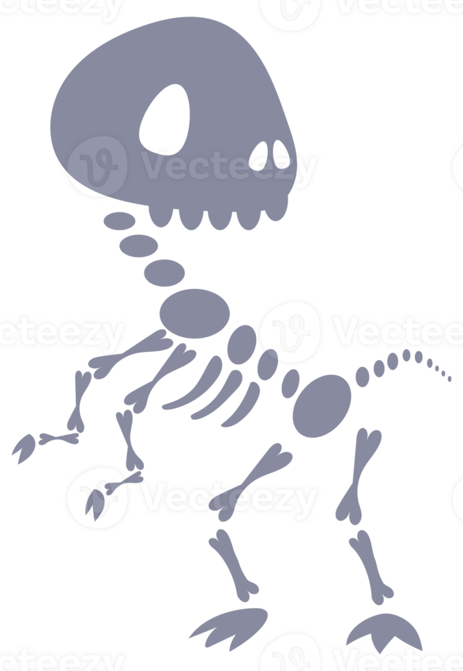 Set of five dinosaur skeletons standing on two legs with bones visible png