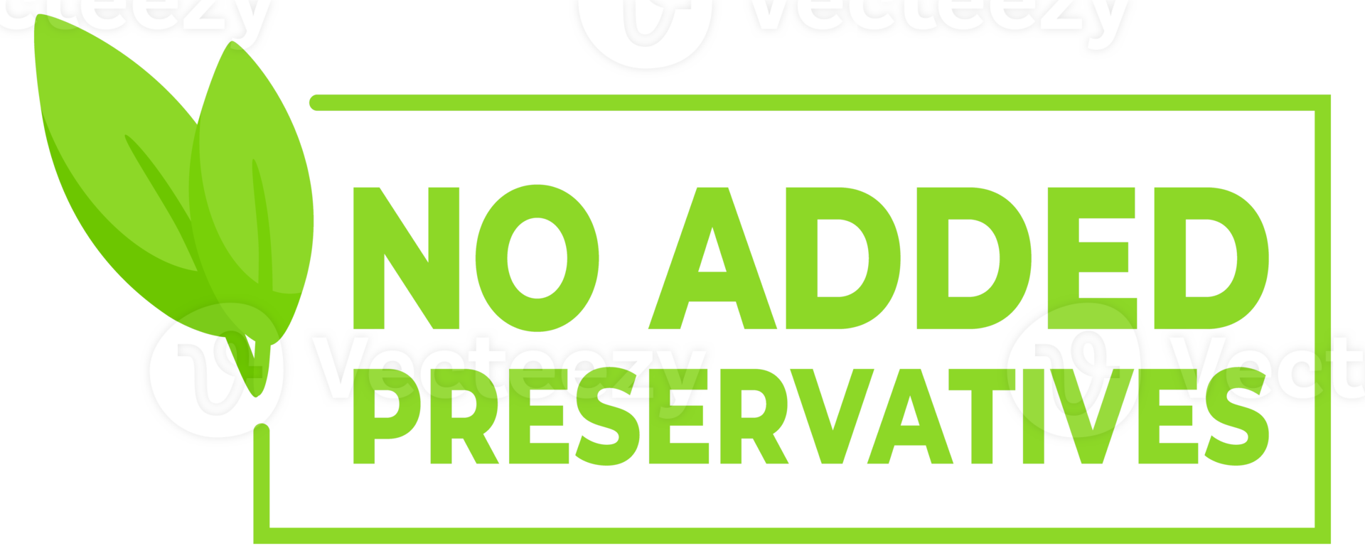 Green labels stating No Added Preservatives with a leaf symbol, ideal for natural and organic food packaging. png