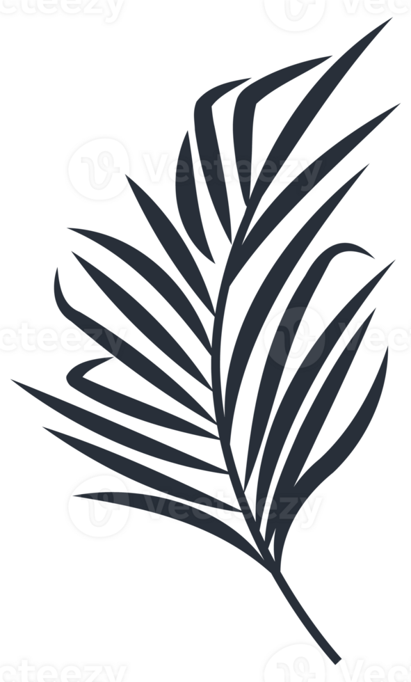 Collection of tropical plant leaf silhouettes, featuring a variety of shapes and sizes, ideal for botanical themes png