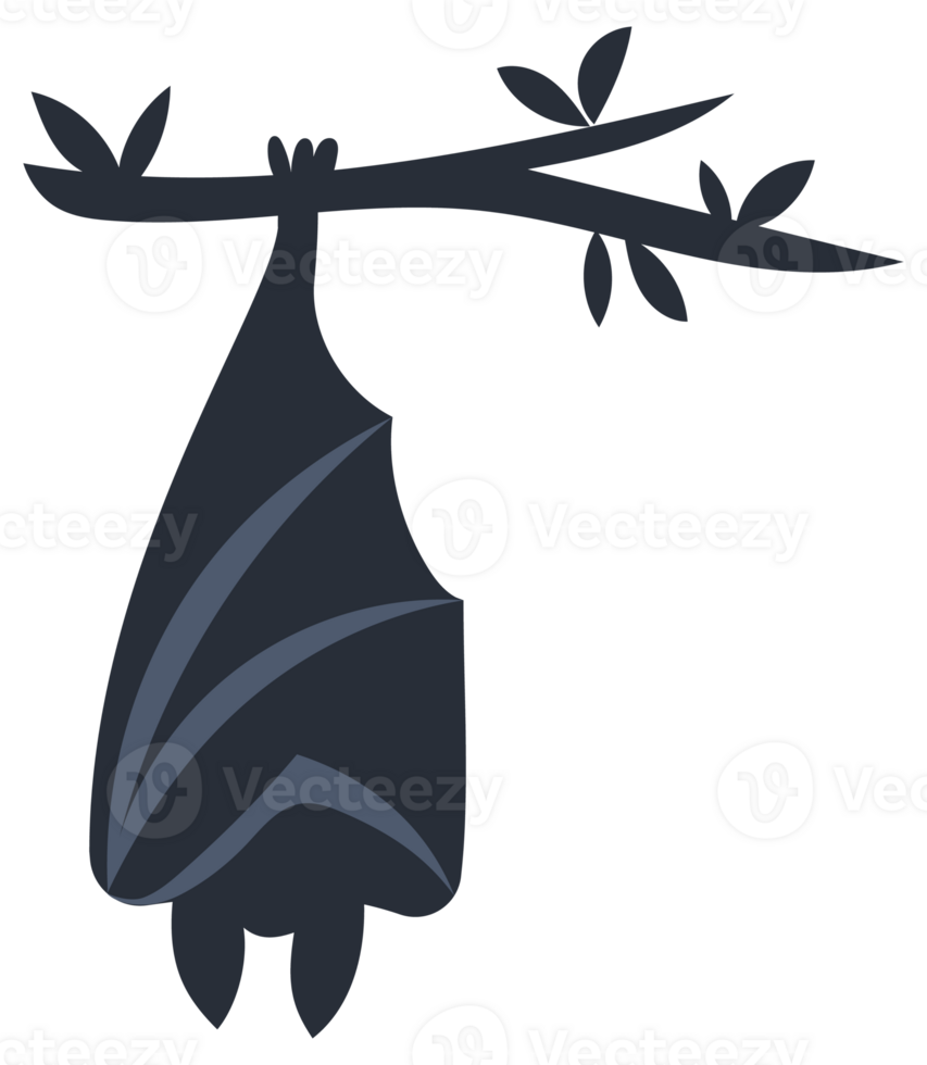 Four different cartoon bats with big eyes flapping their wings and hanging from a branch. png