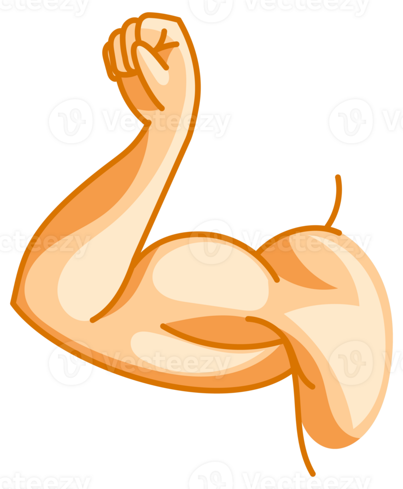 Set of strong arms showing biceps muscle, flexing powerful forearm, in cartoon, silhouette and line art style png