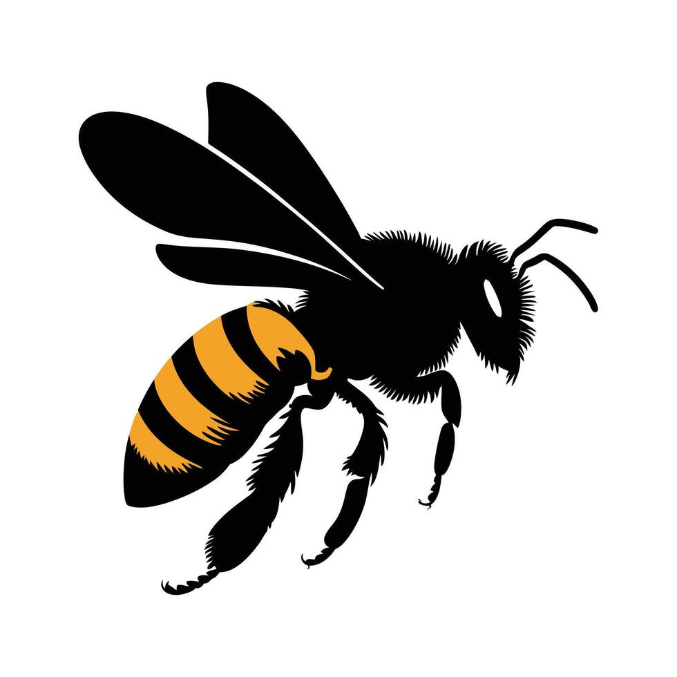 Detailed Black and Yellow Bee Clipart vector