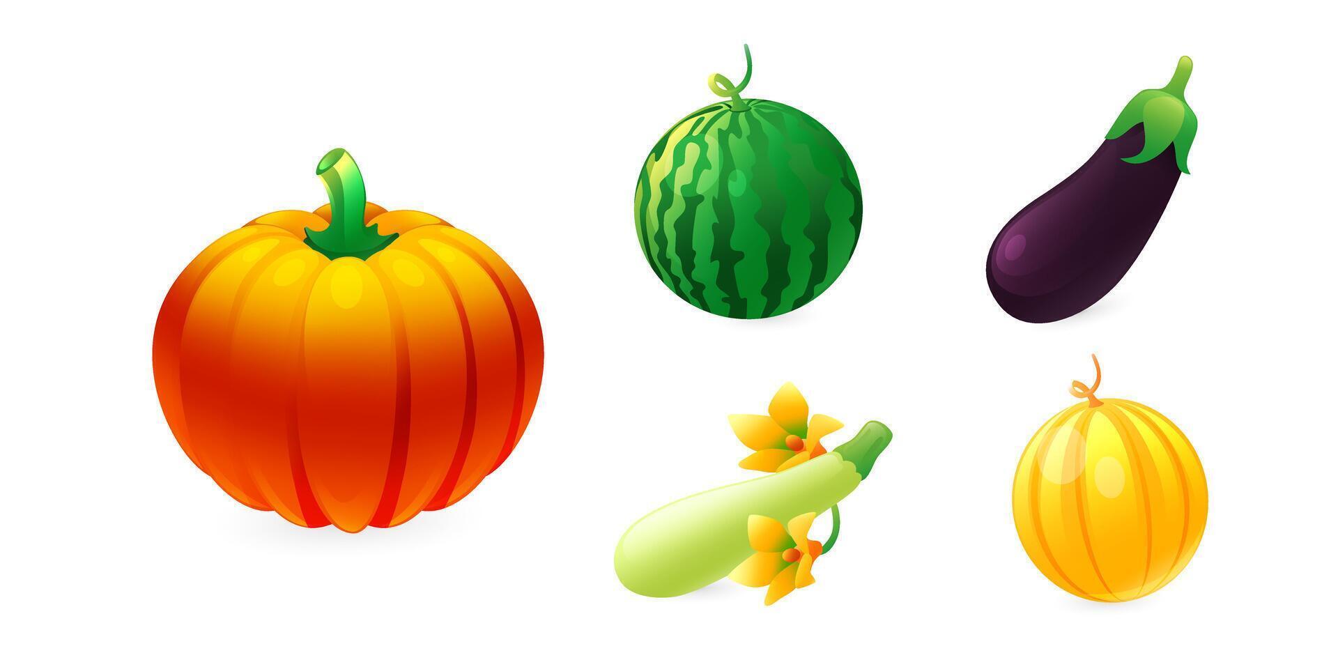 A set of illustrations of melons, watermelon, pumpkin, zucchini, eggplant, melon, in a realistic 3D style. vector