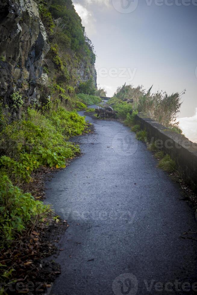 View on old and abandoned mountain road in Madeira with nature taking over photo