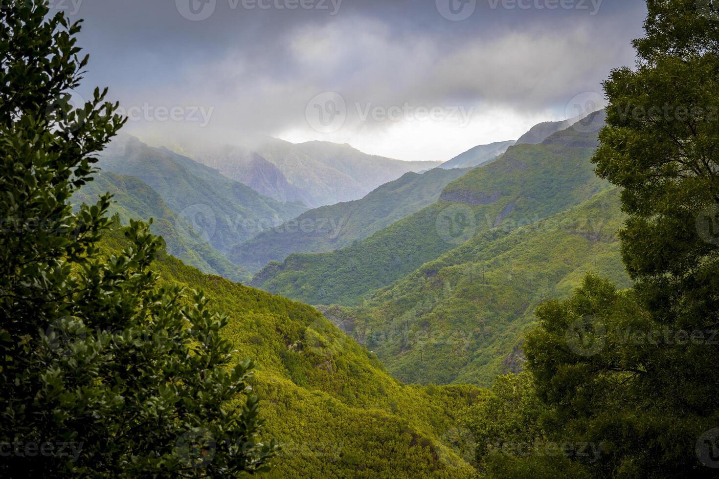 View on Rabacal valley on the famous levada hike route PR6 25 fontes on Madeira Island, Portugal photo