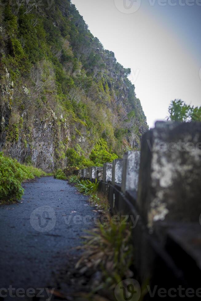 View on old and abandoned mountain road in Madeira with nature taking over photo