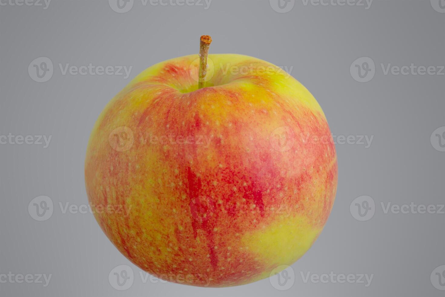 Red apple with yellow isolated on gray background. photo