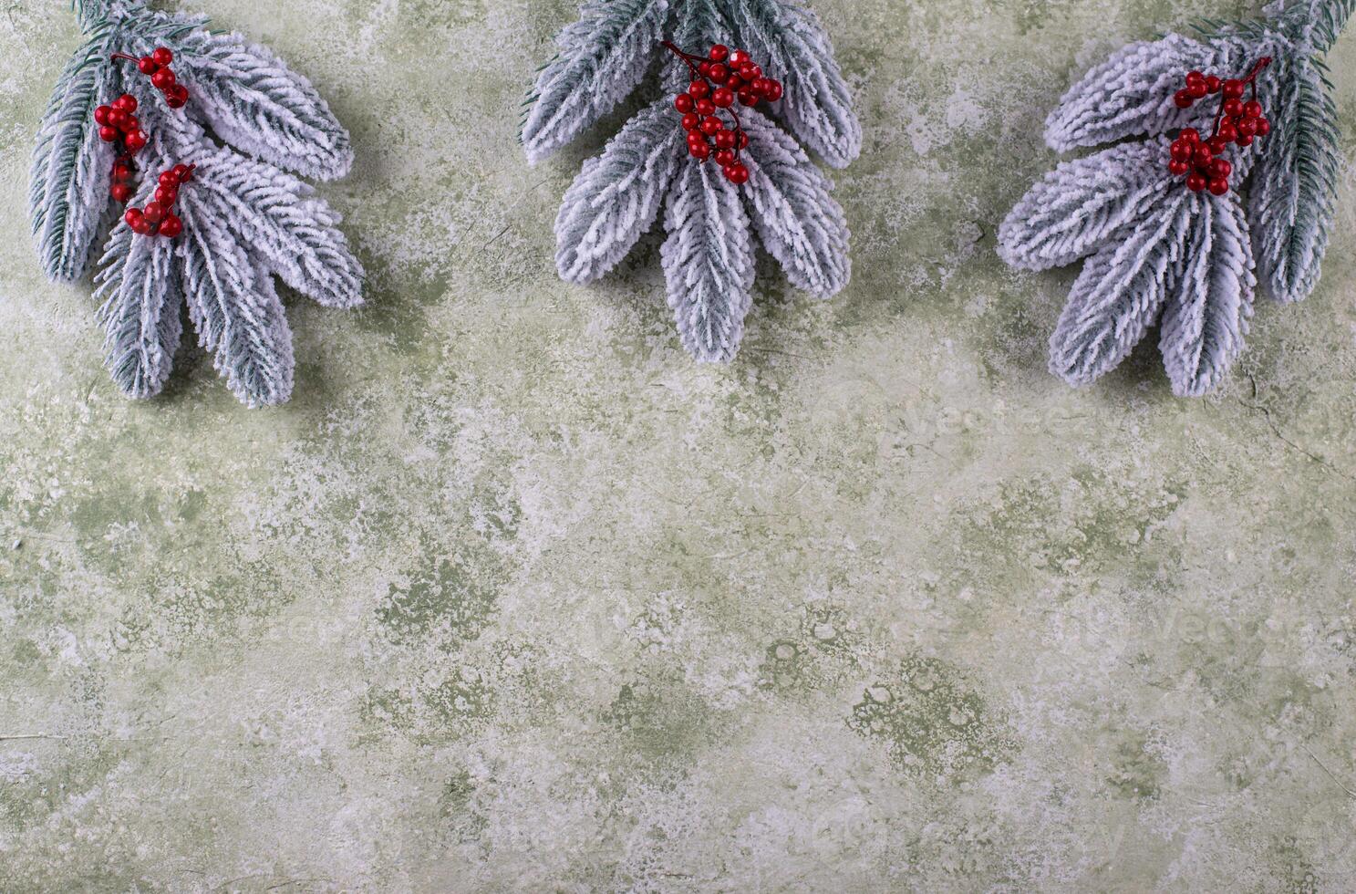 Frosty pine branches with berries photo
