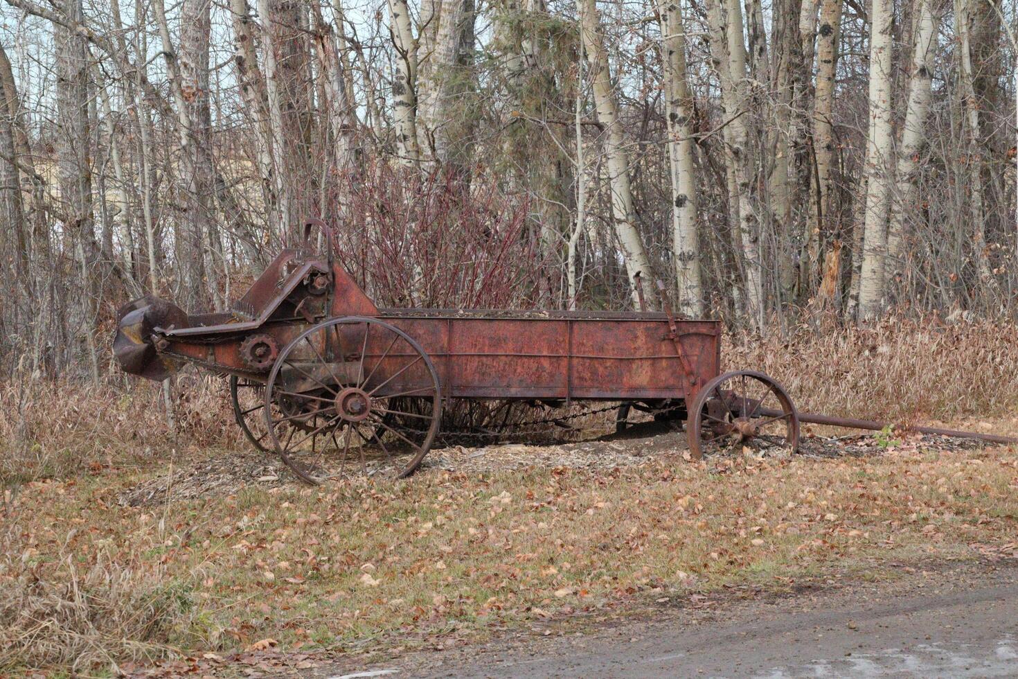 A rusty old wagon sitting in the middle of a field photo