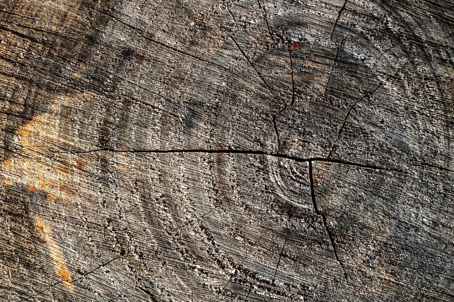 Wood abstract texture. Surface grunge backdrop. Dirty wooden effect pattern. Material background. photo