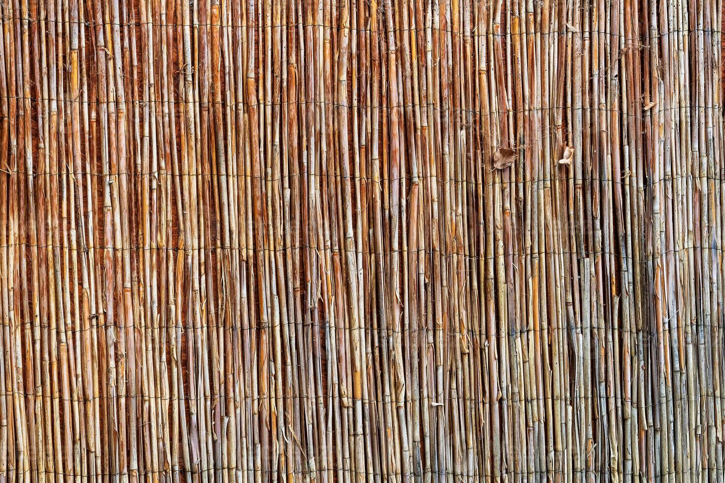 Wood abstract texture. Surface grunge backdrop. Dirty wooden effect pattern. Material background. photo