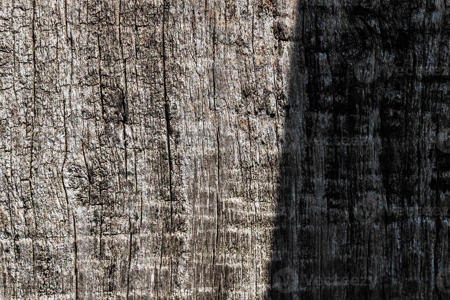 Wood abstract texture. Surface grunge backdrop. Dirty wooden effect pattern. Material background. photo