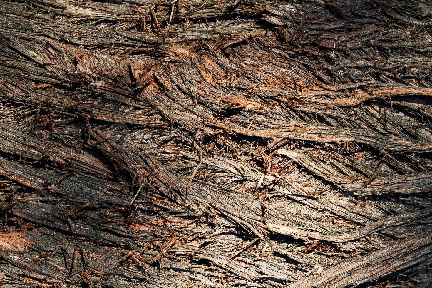 Wood abstract texture. Surface grunge backdrop. Dirty wooden effect pattern. Material background. photo