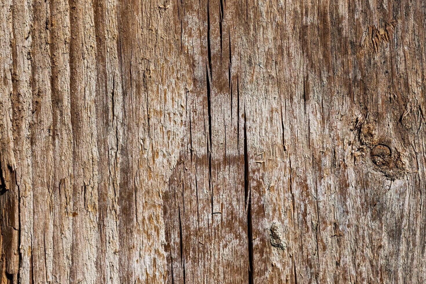 Wood abstract texture. Surface grunge backdrop. Dirty wooden effect pattern. Material background. photo
